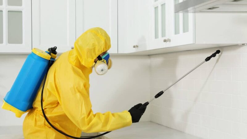 10 Reasons hiring pest control is a critical step