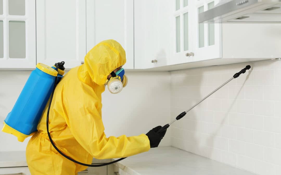 10 Reasons hiring pest control is a critical step